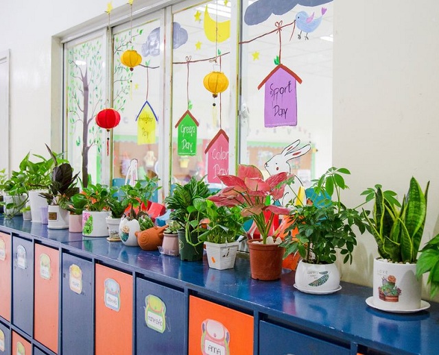 10 ý tưởng trang trí cây xanh trong lớp học mầm non đẹp mắt và thú vị cho trẻ em