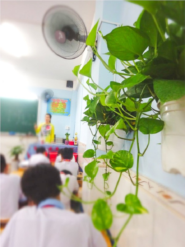 Trang trí cây xanh trong lớp học - trong nhà đẹp mát mắt