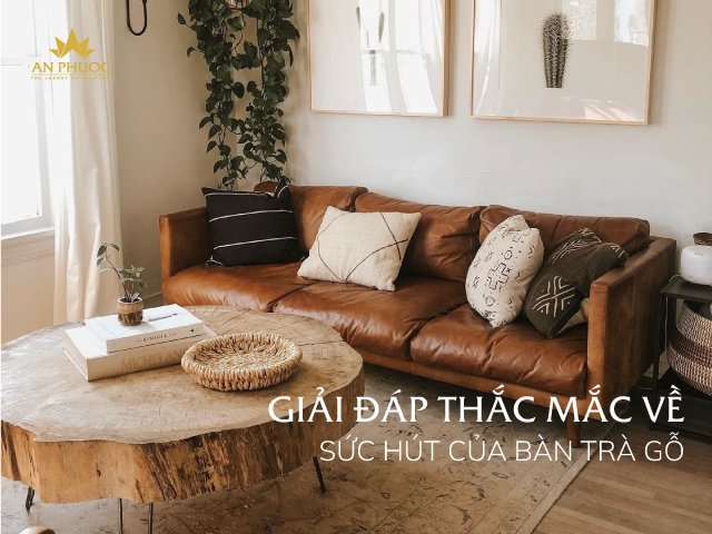 Giải đáp thắc mắc về sức hút của bàn trà gỗ | 15++ mẫu cực đẹp cho mọi không gian